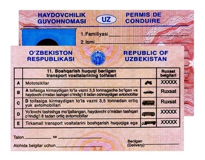 Driver's license translation