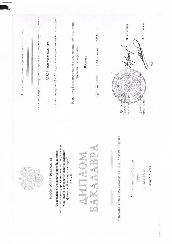 Original Russian bachelor's degree