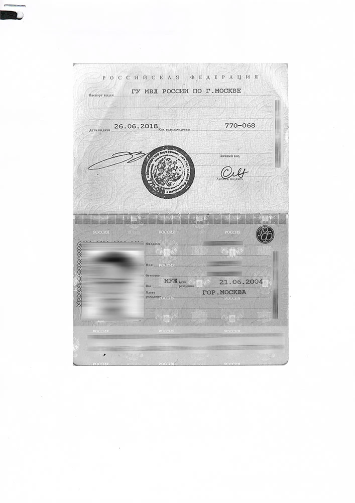 Original passport in Russian